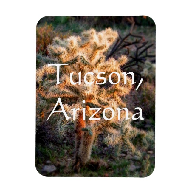 Glowing cholla Tucson, Arizona Magnet (Vertikal)