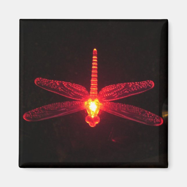 Glowing Dragonfly Magnet (Framsidan)