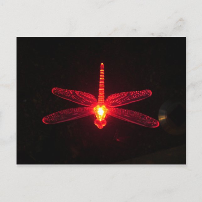 Glowing Dragonfly Vykort (Framsida)