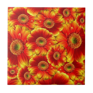 Glowing Gerbera Daisy Kakelplatta