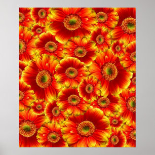 Glowing Gerbera Daisy Poster