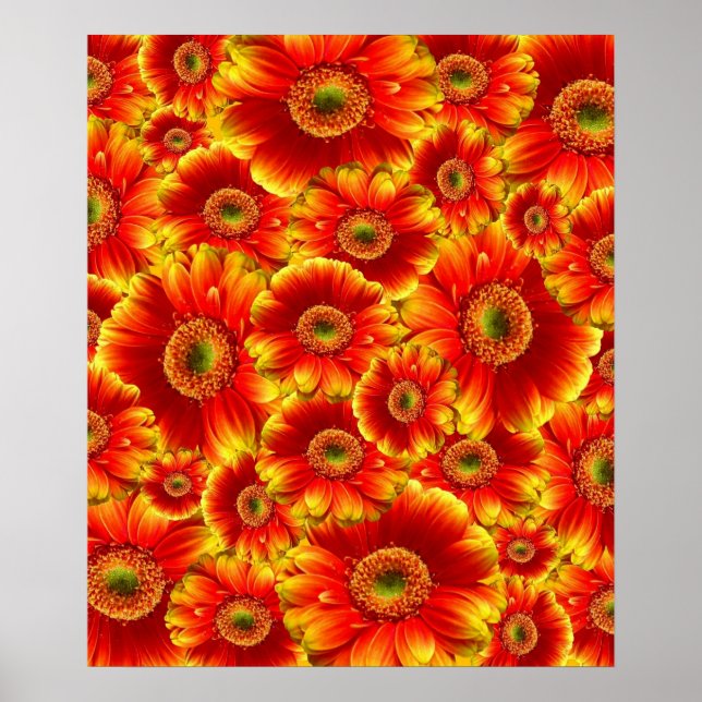 Glowing Gerbera Daisy Poster (Framsidan)