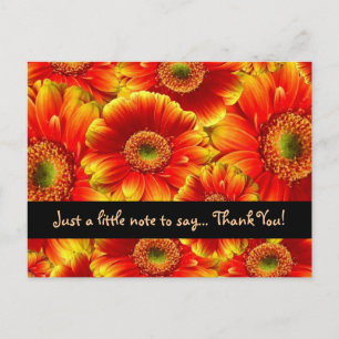 Glowing Gerbera Daisy Tack Vykort