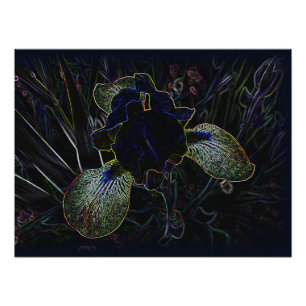 Glowing Iris Fototryck