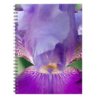 Glowing Iris Nature / Blommigt / botaniskt foto Anteckningsbok
