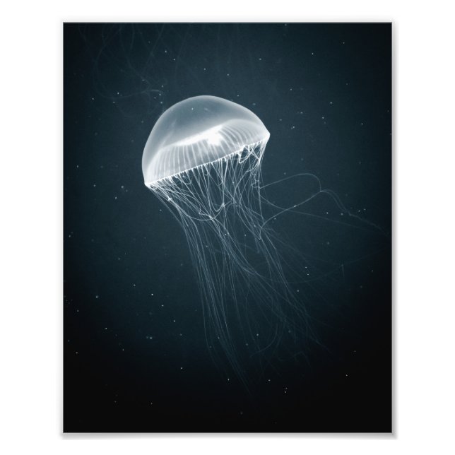 Glowing Jellyfish | Fotografi under vatten (Framsidan)