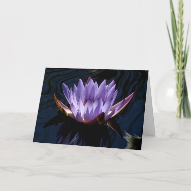 Glowing Lila Vatten Lily Card Kort (Framsida)