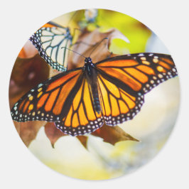 Glowing Monarch Sticker Runt Klistermärke