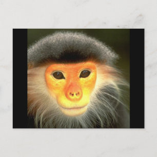 Glowing Monkey Vykort