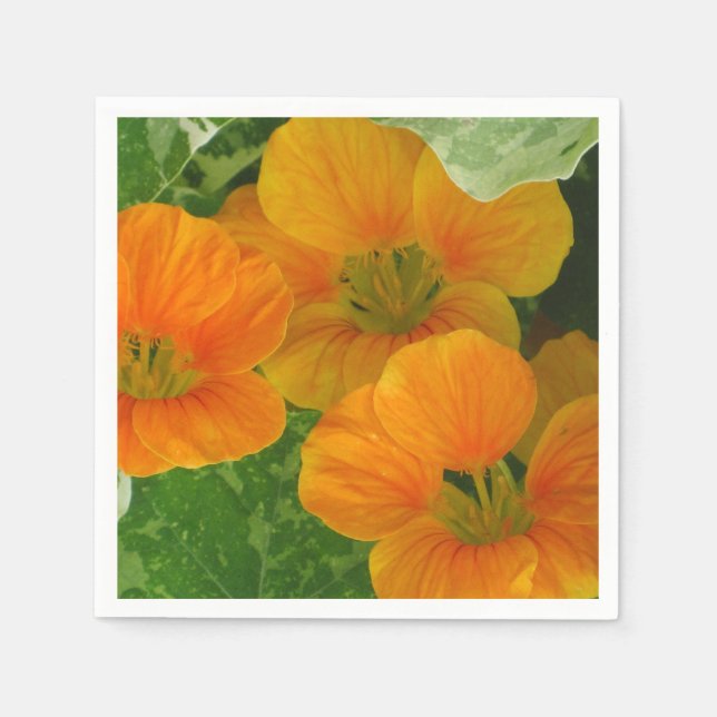 Glowing Nasturtium Papper Napkins Pappersservett (Framsidan)
