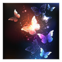 Glowing Night Butterflies