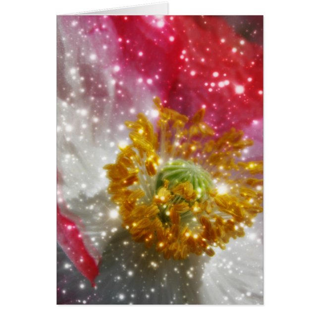 Glowing Poppy Hälsningskort (Framsidan)