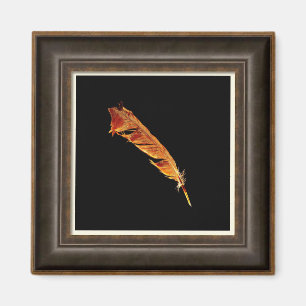 Glowing Raven Feather Bird-älskare-rameffekter Magnet