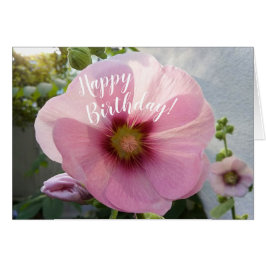 Glowing Rosa Hollyhock Flower Birthday Card Hälsningskort