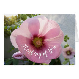 Glowing Rosa Hollyhock Flower Thinking Card Hälsningskort