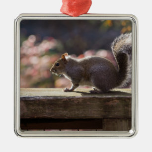 Glowing Squirrel Julgransprydnad Metall