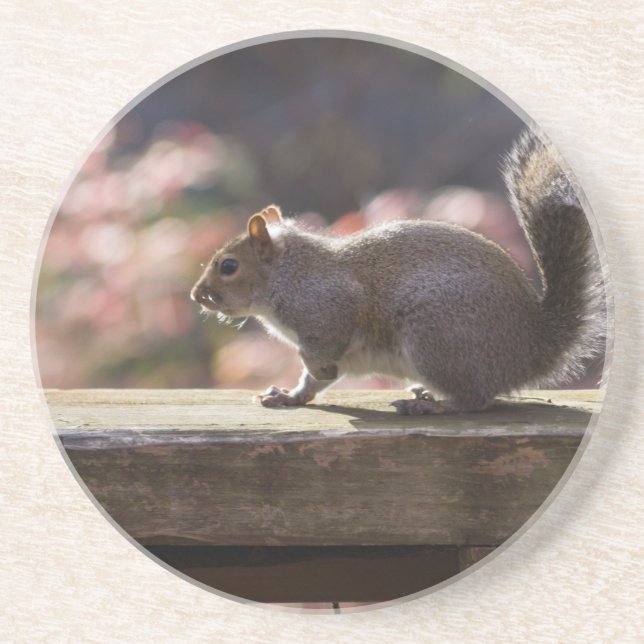 Glowing Squirrel Underlägg (Framsidan)