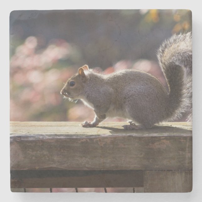 Glowing Squirrel Underlägg Sten (Framsidan)