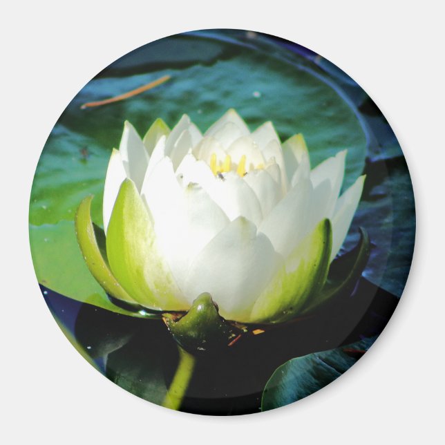 Glowing White Lotus Magnet (Framsidan)