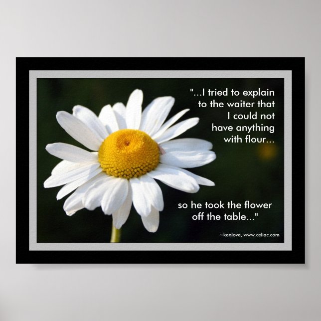 Glutenfri Daisy Poster med offert (Framsidan)