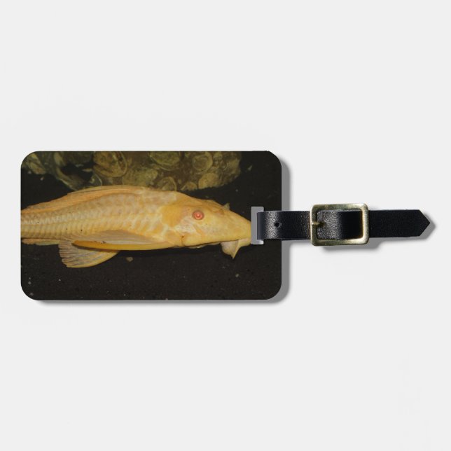 Glyptoperichthys gibbiceps bagagebricka (Horisontell Framsida)