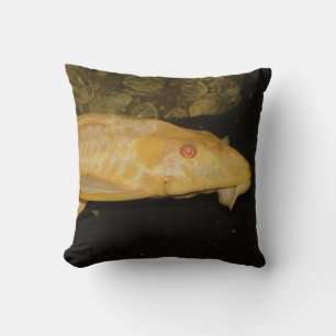 Glyptoperichthys gibbiceps kudde