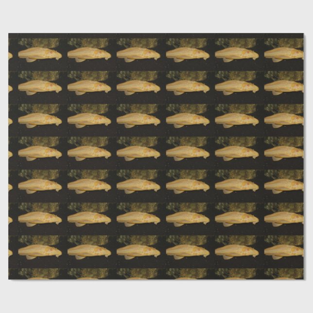 Glyptoperichthys gibbiceps presentpapper (Platt)