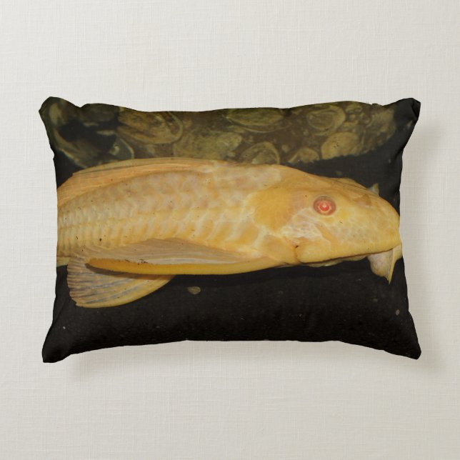 Glyptoperichthys gibbiceps prydnadskudde (Framsidan)