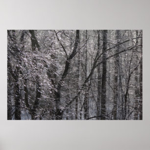 Glyssning Isig Forest in God Light I Poster