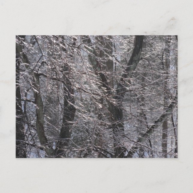 Glyssning Isig Forest in God Light I Vykort (Framsida)