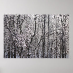Glyssning Isig Forest in God Light II Poster