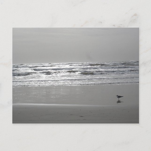 Glyssningskort Vinkar vykort (Framsida)