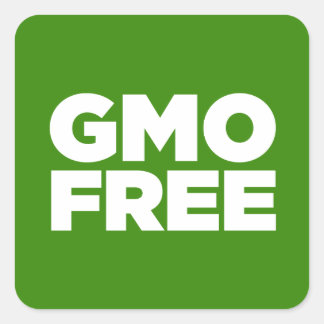 GMO-FRI (GRÖNT) FYRKANTIGT KLISTERMÄRKE