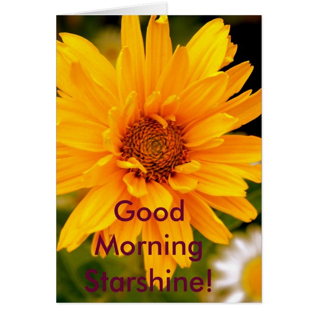 G'Morning Starshine OBS Kort (Framsidan)