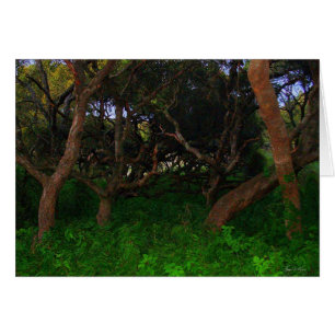 Gnarled Träd Hälsningskort