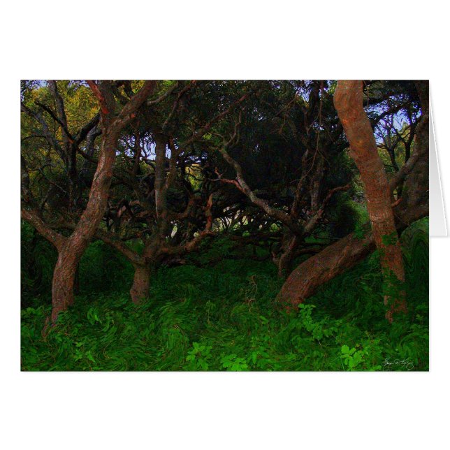 Gnarled Träd Hälsningskort (Framsidan Horizontal)
