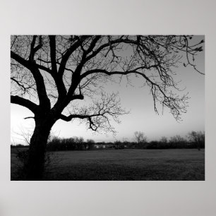 Gnarled träd poster