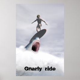Gnarly-ride Poster