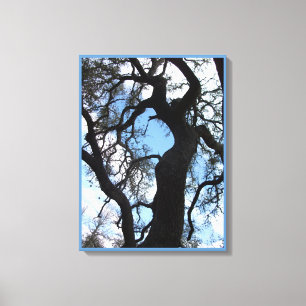 Gnarly Träd Photo Kanvastryck (18X24)
