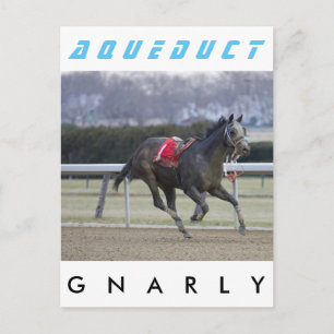 Gnarly Vykort