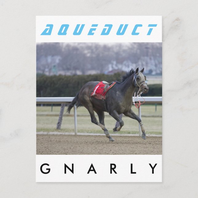 Gnarly Vykort (Framsida)