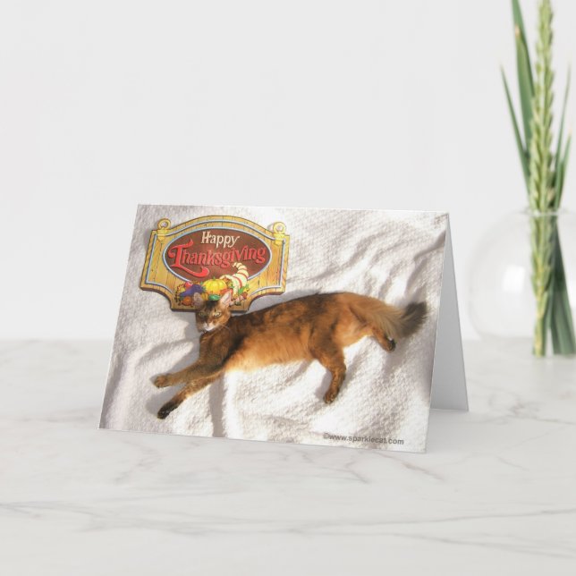 Gnistra av Thanksgivingen Supermodel Helgkort (Framsida)