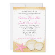 Gnistra Beach-Snäckor och Starfish