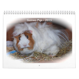 Gnistra Kalender