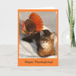 Gnistra Thanksgiving Kattunge-kort Helgkort