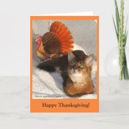 Gnistra Thanksgiving Kattunge-kort Helgkort