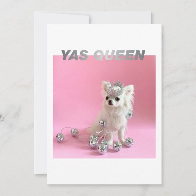 Gnistra Tiny Chi | Gratulerart foto från Hund älsk Kort (Framsida)