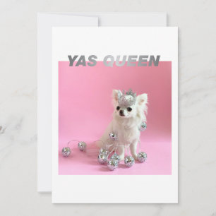 Gnistra Tiny Chi Gratulerart foto från Hund älsk Kort