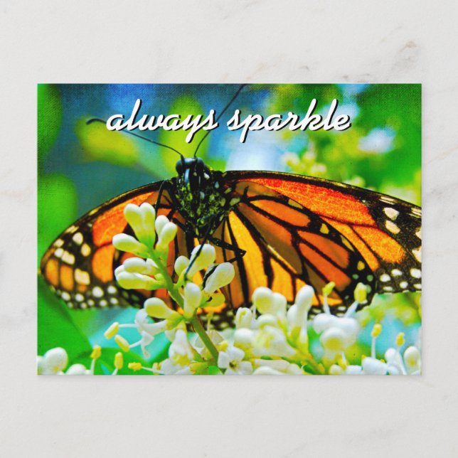 Gnistran Foto alltid för orange Monarch Butterfly  Vykort (Framsida)