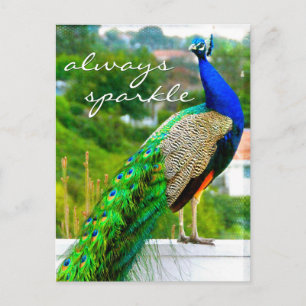 Gnistran Peacock Photo Always i snyggt Blue Grönt Vykort
